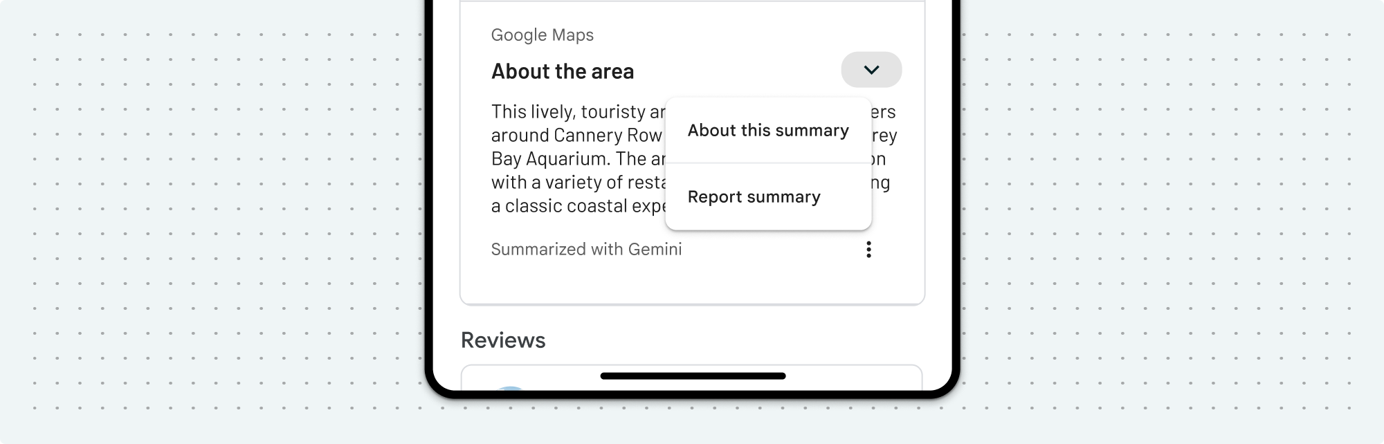 Disclosure for place and area summaries