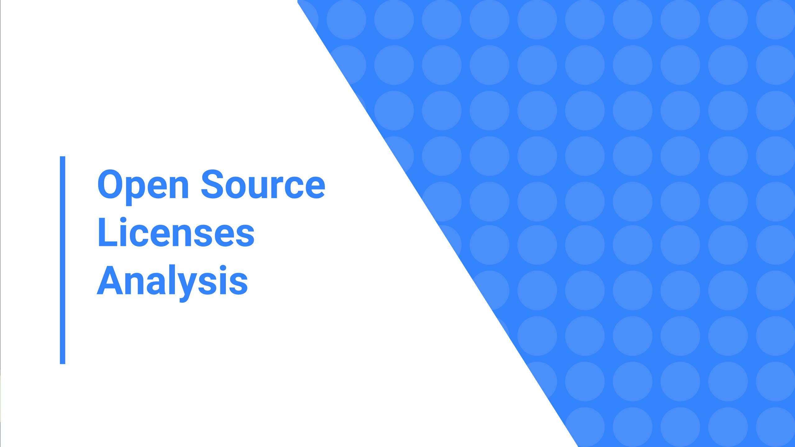 Custom presentation tool for analysis of common software licenses